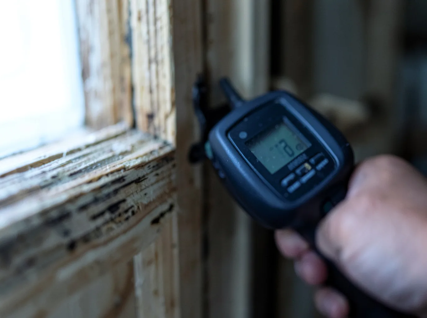 Moisture Inspection And Documentation in Merriman, NE